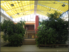 Atrium